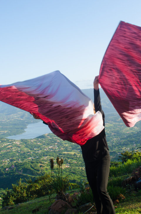 Painted Worship Flags (Temporarily Unavailable)